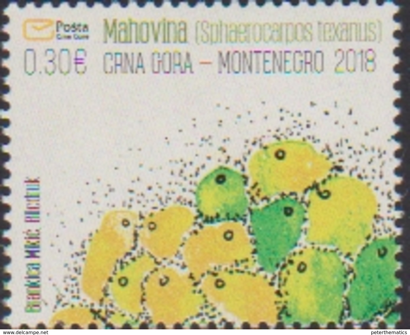 MONTENEGRO ,2018,MNH, FLORA, MOSS, 1v - Other & Unclassified