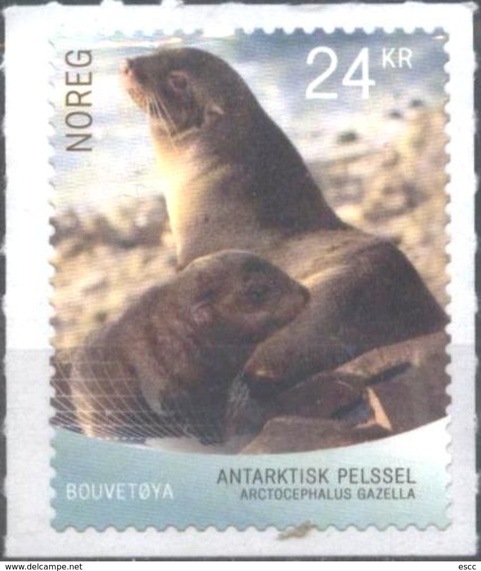 Mint  Stamp Antarctic  Fauna, Seal  2018  From Norway - Otros & Sin Clasificación