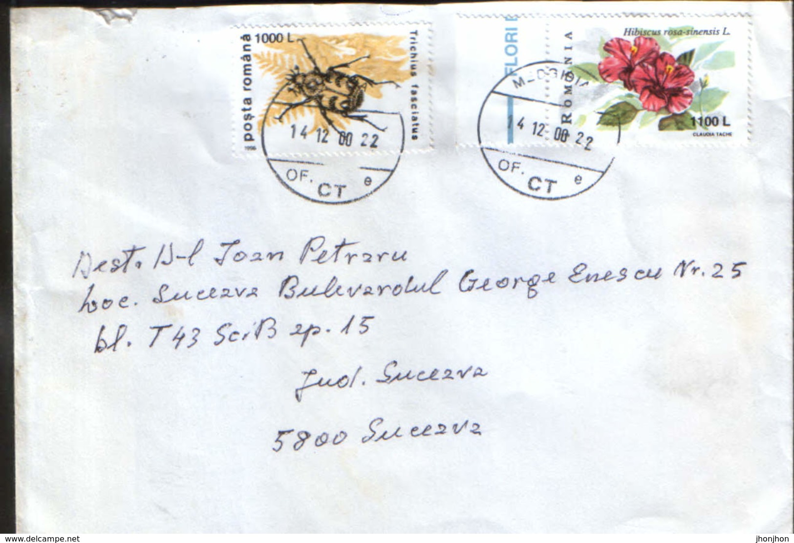 Romania - Letter Circulatid In 2000 -stamps With  Beetle And Flower - Lettres & Documents