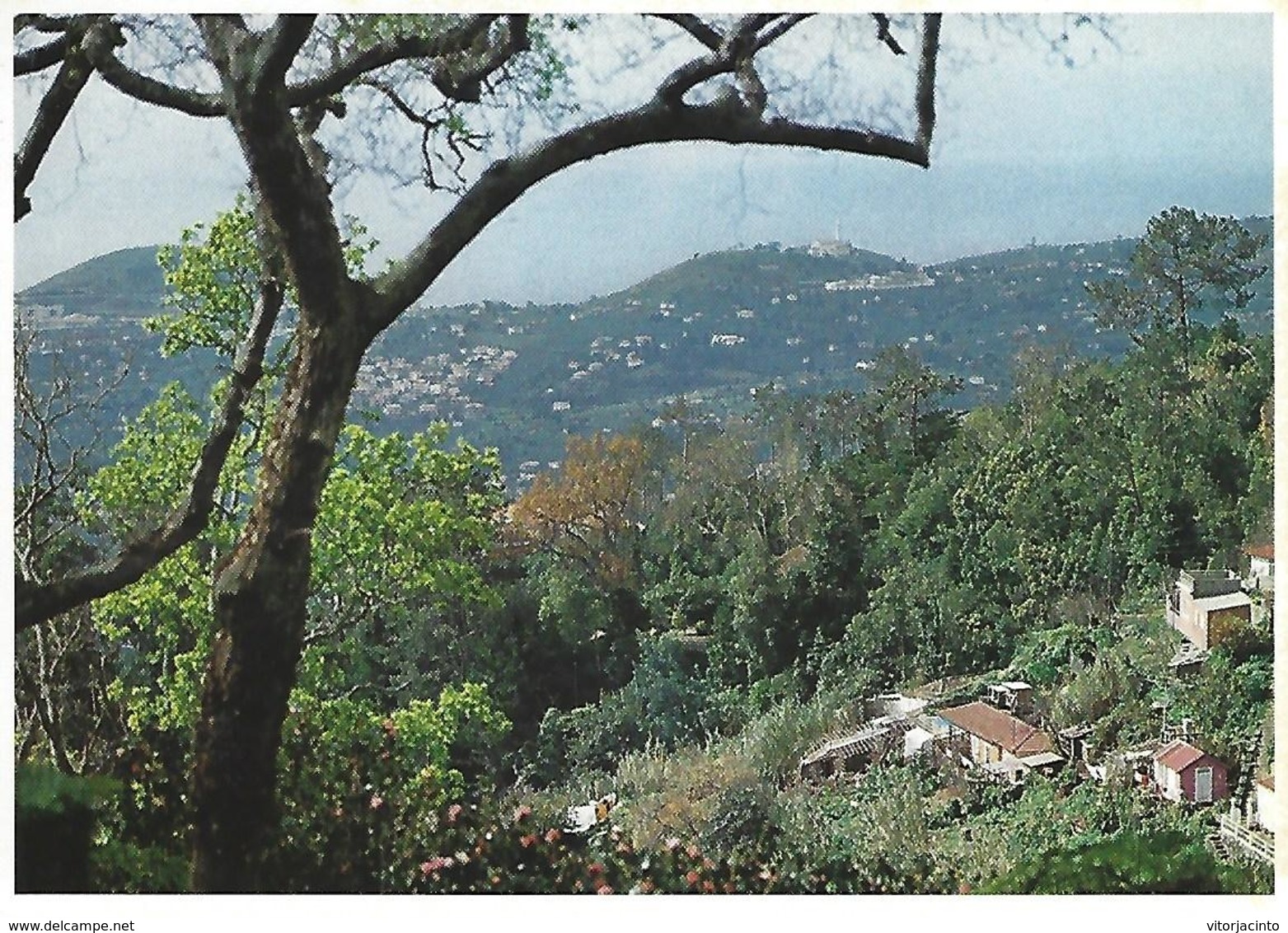 Entier Postaux De Tourisme - Freguesia Do Monte - Landscape - (Madeira) - Portugal - Postal Stationery