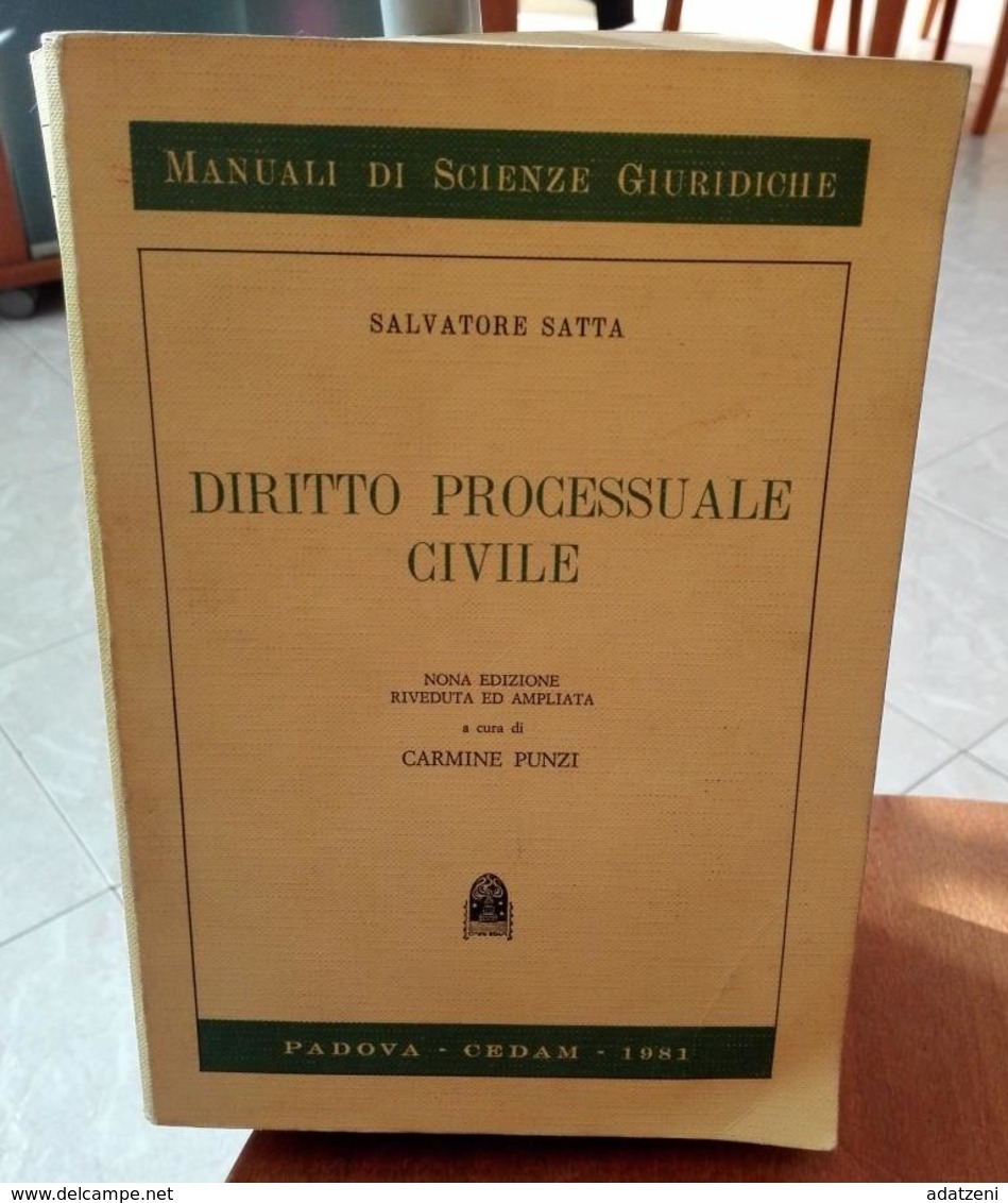 DIRITTO PROCESSUALE CIVILE SALVATORE SATTA EDIZIONI CEDAM STAMPA 1981 DIMENSIONI CM 21,5X15 PAGINE 1054 COPERTINA MORBID - Recht Und Wirtschaft