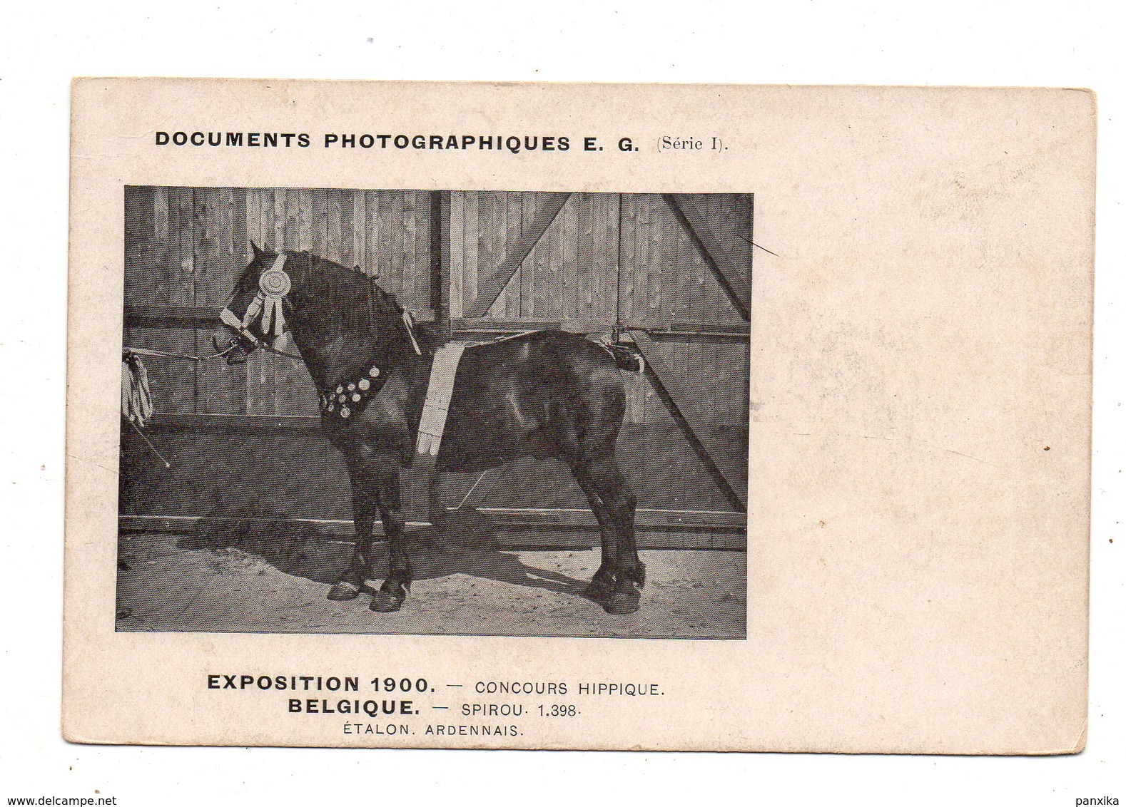 Exposition Belgique 1900.Concours Hippique. Spirou. Etalon Ardennais. - Chevaux