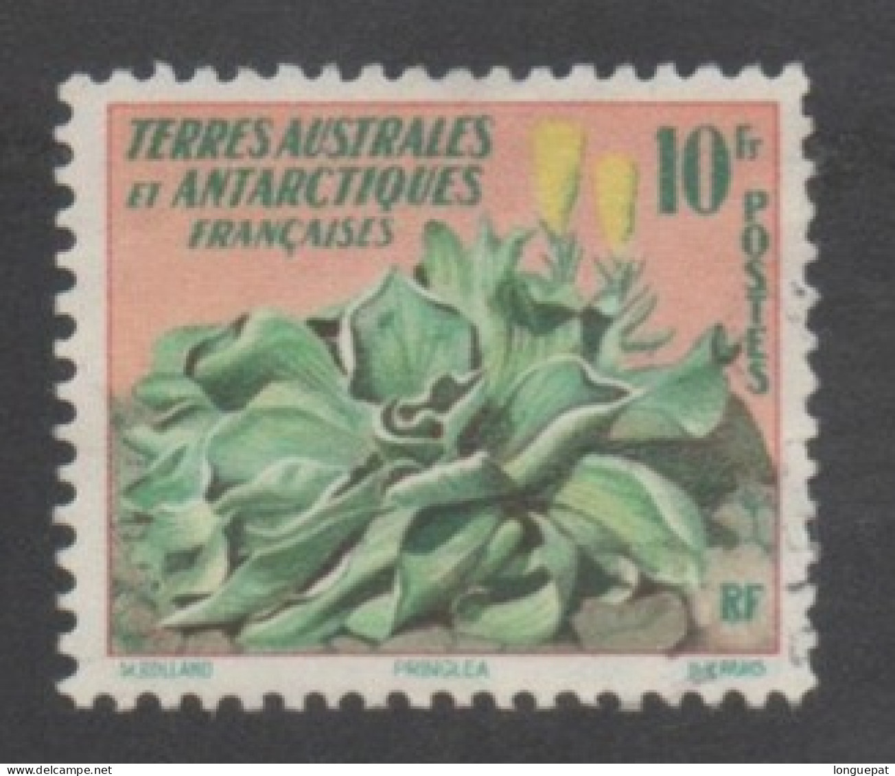 TERRES AUSTRALES Et ANTARCTIQUES Fçaises -Flore - Chou Des Kerguelen (Pringlea) - Famille Des Brassicacées, - Used Stamps