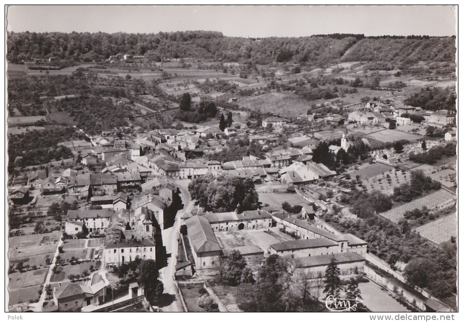 Br - Cpsm Grand Format LUDRES (M.-et-M.) - Vue Aérienne - Maison De Repos Ste Thérèse, Ferme Du Château, Au Sommet, Les - Autres & Non Classés