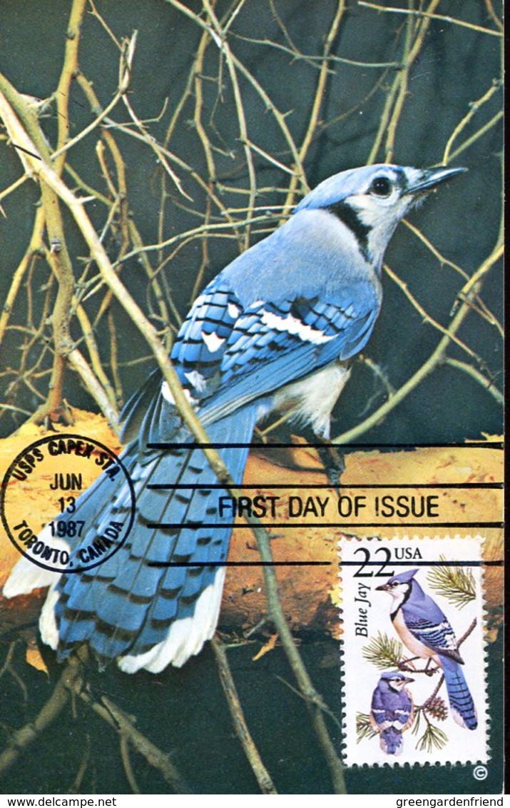 38651   U.s.a. Maximum  1987  Blue Jay Cyanocitta Cristata,Blauhäher,geai Bleu, - Cartoline Maximum