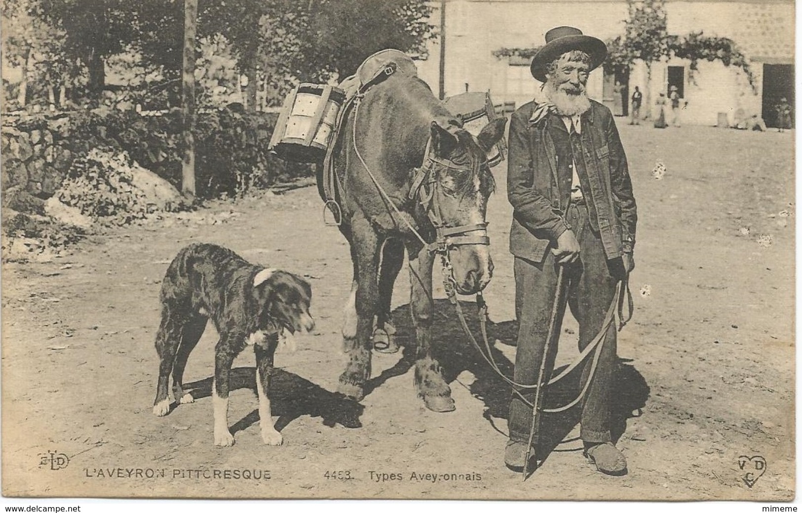 Aveyron Pittoresque   Types Aveyronnais - Autres & Non Classés