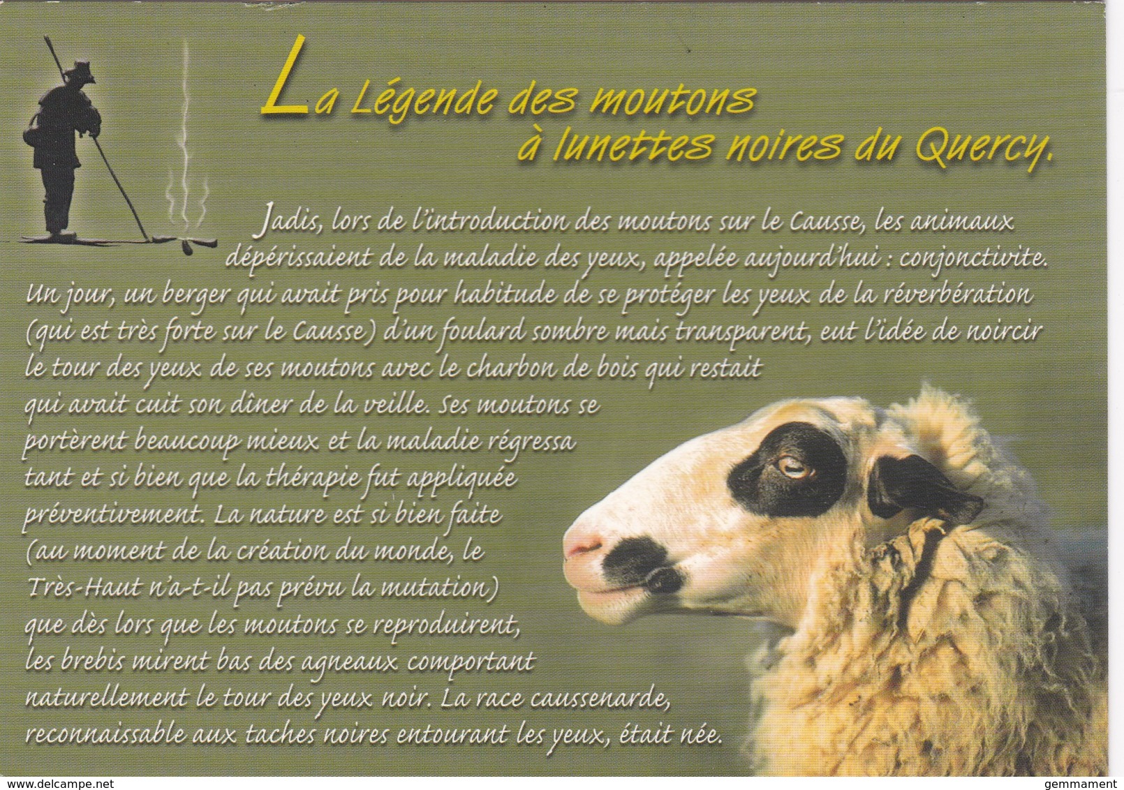 LA LEGEND DES MOUTONS A LUNETTES NOITRES DU QUERCY. MODERN - Other & Unclassified