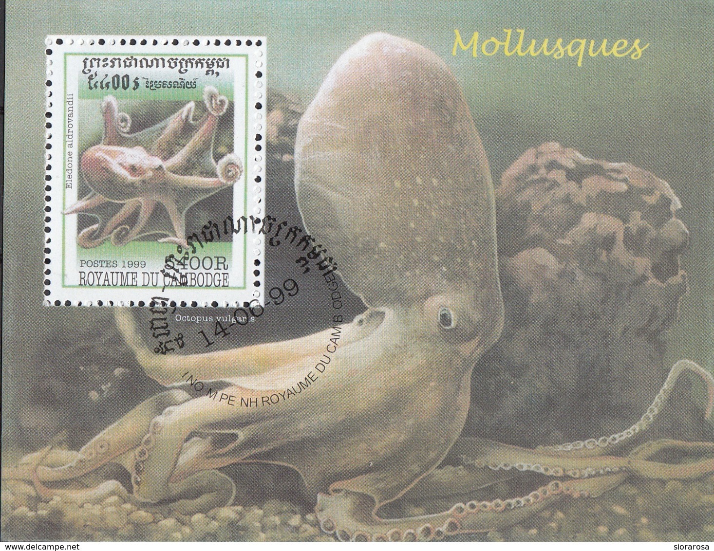 Cambogia 1999 Sc. 1845 Mollusques Molluschi Polipo Eledone Aldrovandi Cambodia Cambodge  Sheet Perf.CTO - Cambogia