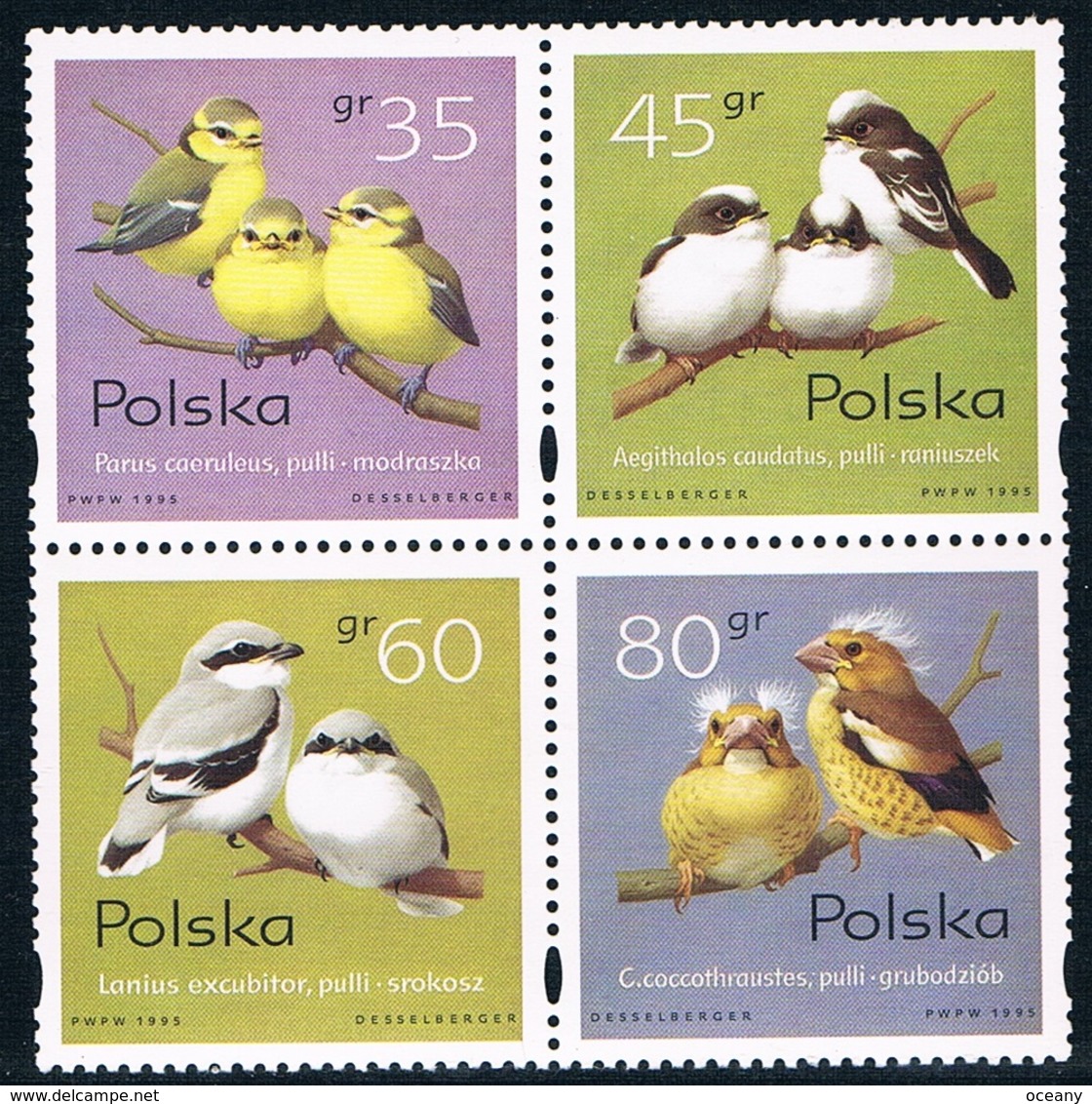 Pologne - Oiseaux : Passereaux 3355/3358 ** - Passereaux