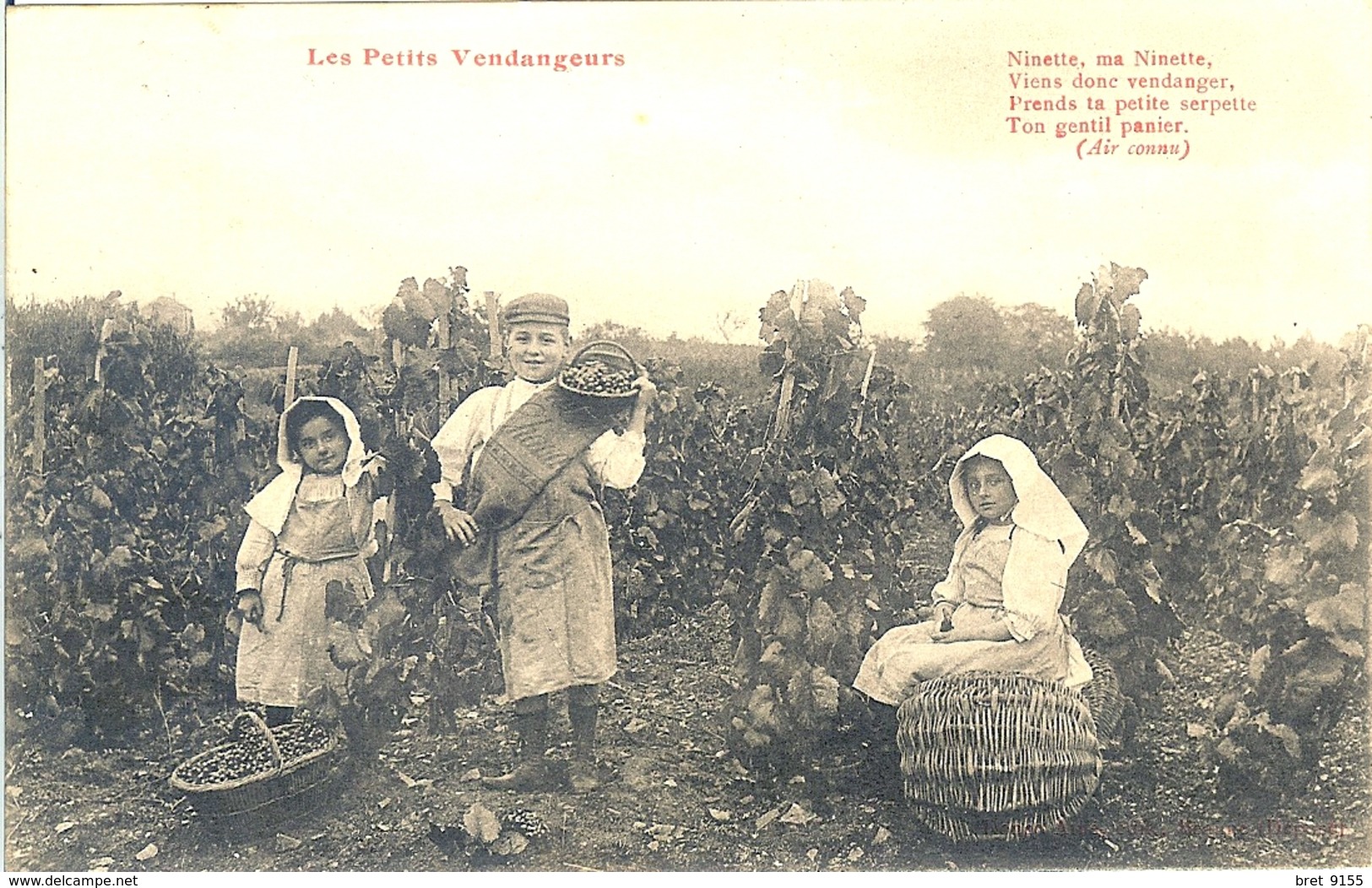 21 POSTEE A MEURSAULT LES PETITS VENDANGEURS NINETTE MA NINETTE VIENS DONC VENDANGER - Meursault