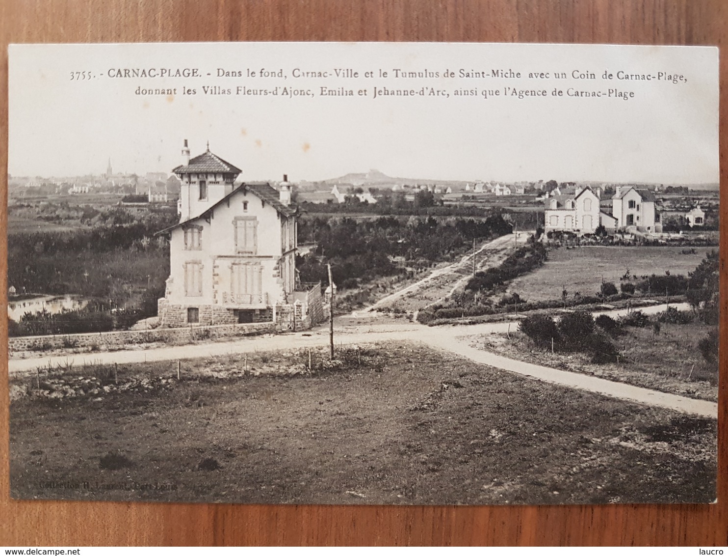 Carnac Plage.dans Le Fond,carnac Ville Et Le Tumulus.les Villas.édition Laurent 3755 - Carnac