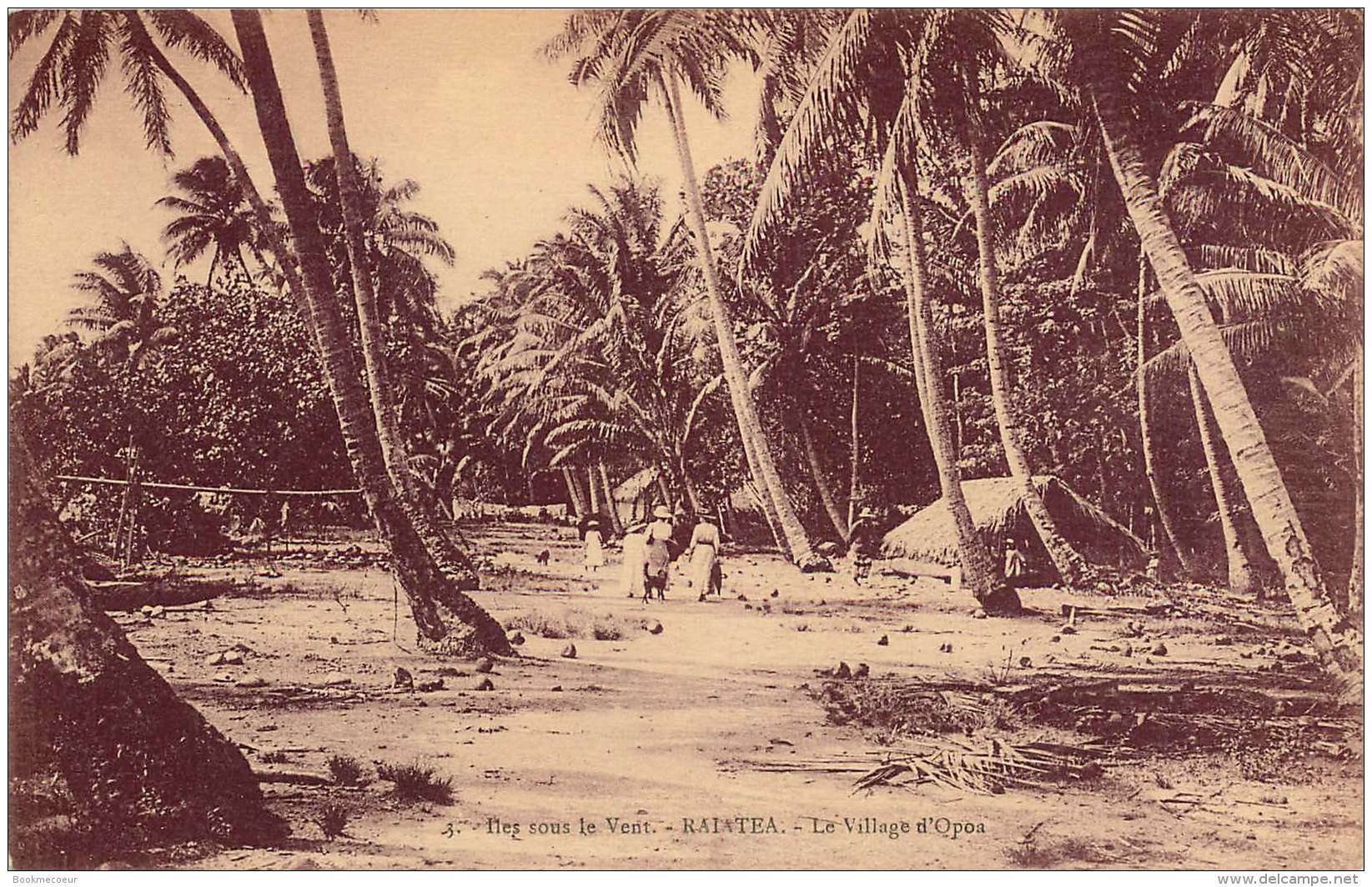 ILES SOUS LE VENT RAIATEA LE VILLAGE D'OPOA - Polynésie Française