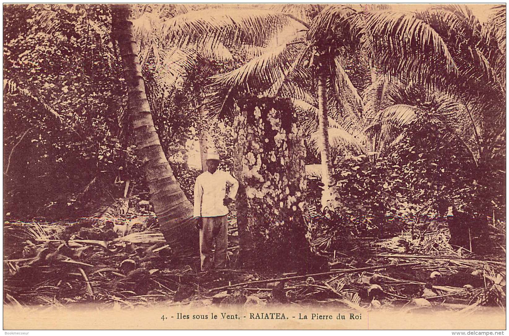 ILES SOUS LE VENT RAIATEA  LA PIERRE DUBROI - Polynésie Française