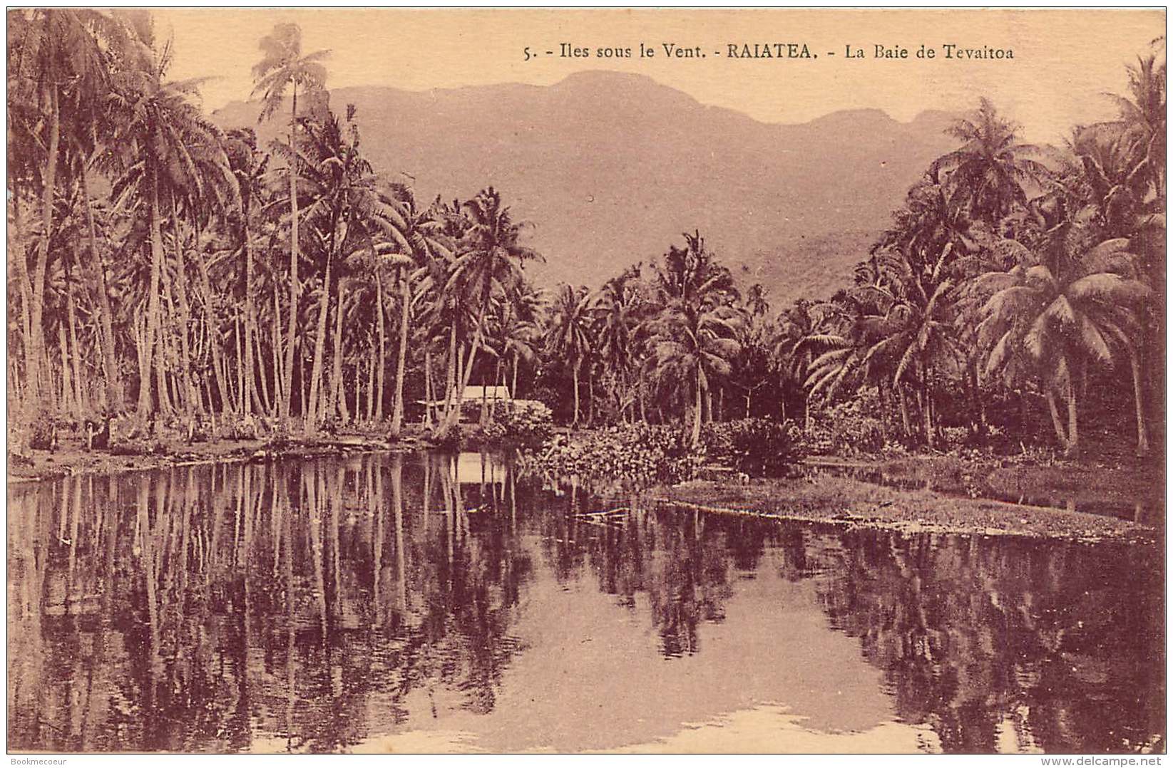ILES SOUS LE VENT RAIATEA LA  BAIE DE TEVAITOA - Polynésie Française