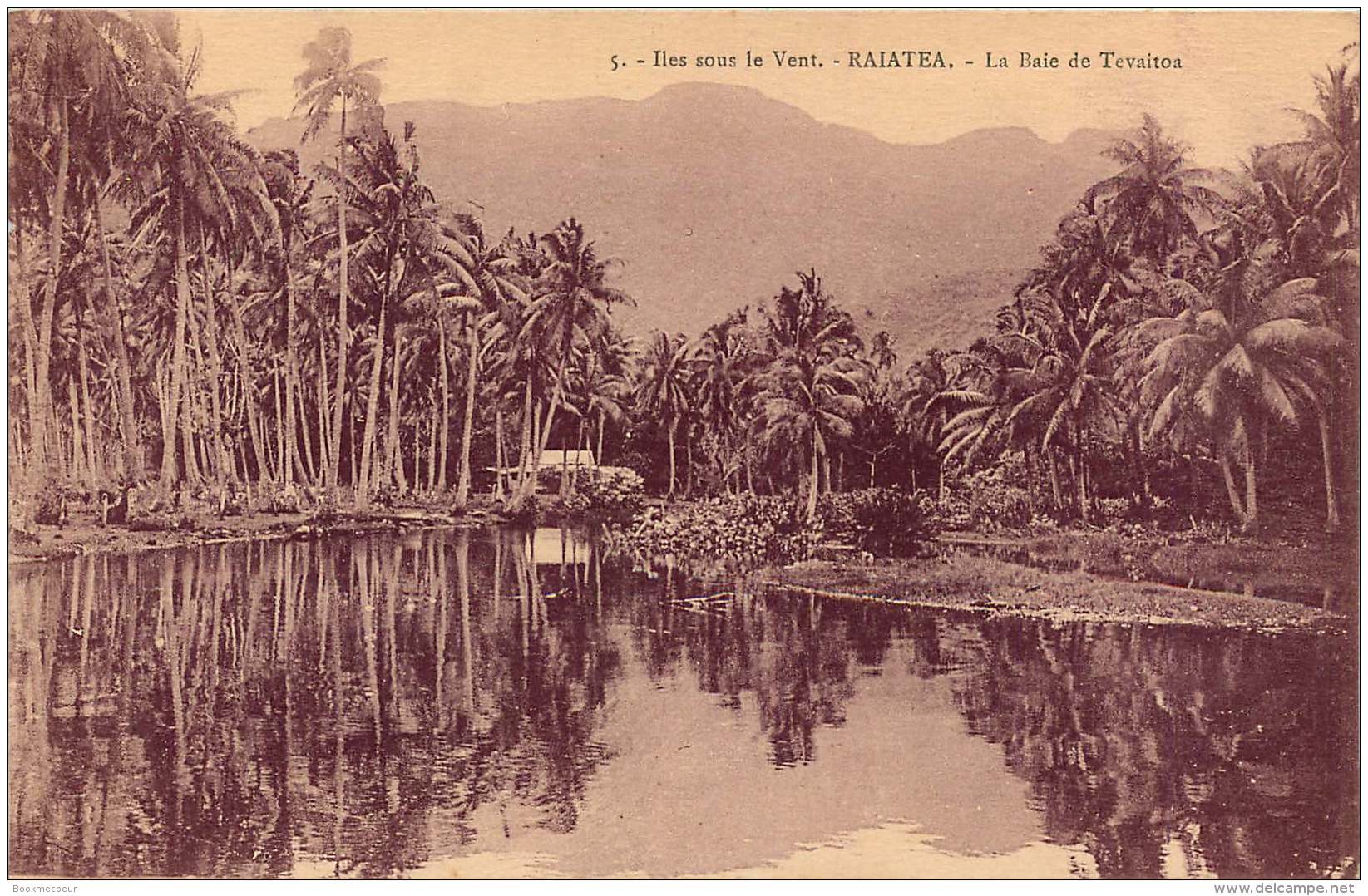 ILES SOUS LE VENT RAIATEA LA  BAIE DE TEVAITOA - French Polynesia