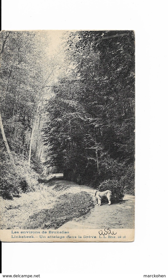 Linkebeek (1630) : Un Attelage De Chien Dans La Drève Conduisant Au Moulin Rose. CPA Précurseurs. - Linkebeek