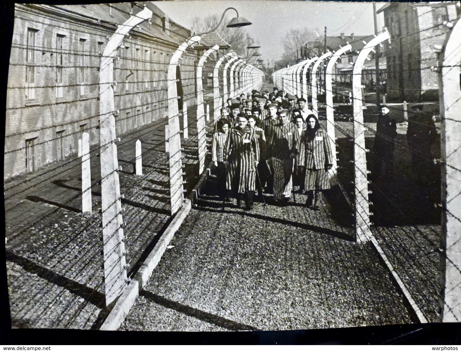 PHOTO Foto WW2 WWII 17.7x12.7 Cm : HOLOCAUST _ LIBERATION Camp AUSCHWITZ Par ARMEE ROUGE - JANVIER 1945 - Krieg, Militär