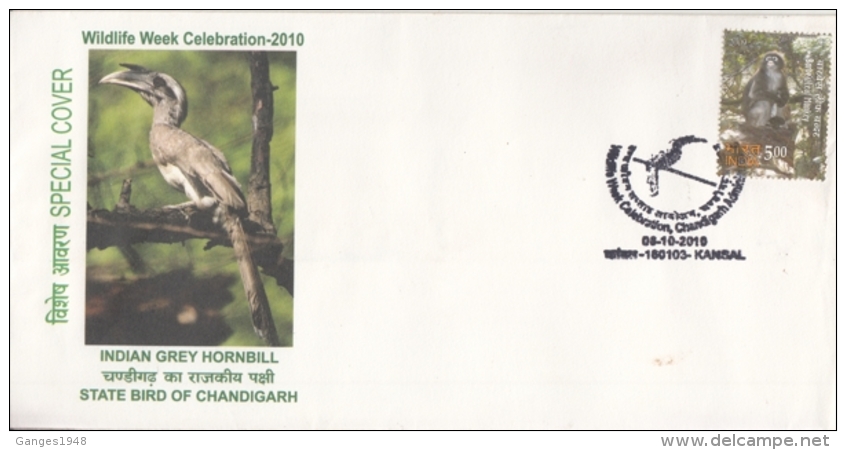 India  2010  Birds   Indian Grey Hornbill  Special Cover #  14203  D Inde Indien - Songbirds & Tree Dwellers