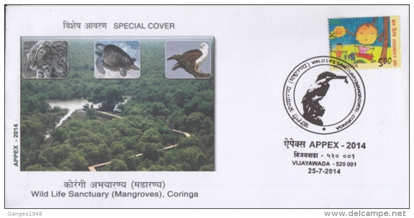 India  2014  Birds   Eagle  Turtle  Wild Cat  Koringa Wildlife Sanctuary  Special Cover #  14204  D Inde Indien - Eagles & Birds Of Prey