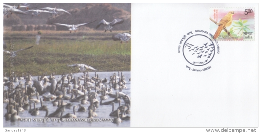 India  2017  Birds   Gharana Wetland  Jammu  Special Cover   #  14764   D Inde  Indien - Albatros