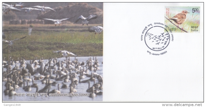 India  2017  Birds   Gharana Wetland  Jammu  Special Cover   #  14763   D Inde  Indien - Albatros