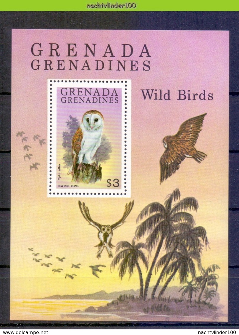 Mwe2658 FAUNA ROOFVOGELS UIL BIRDS OF PREY BARN OWL GREIFVÖGEL EULE AVES HIBOUX OISEAUX GRENADA GRENADINES 1980 PF/MNH - Owls