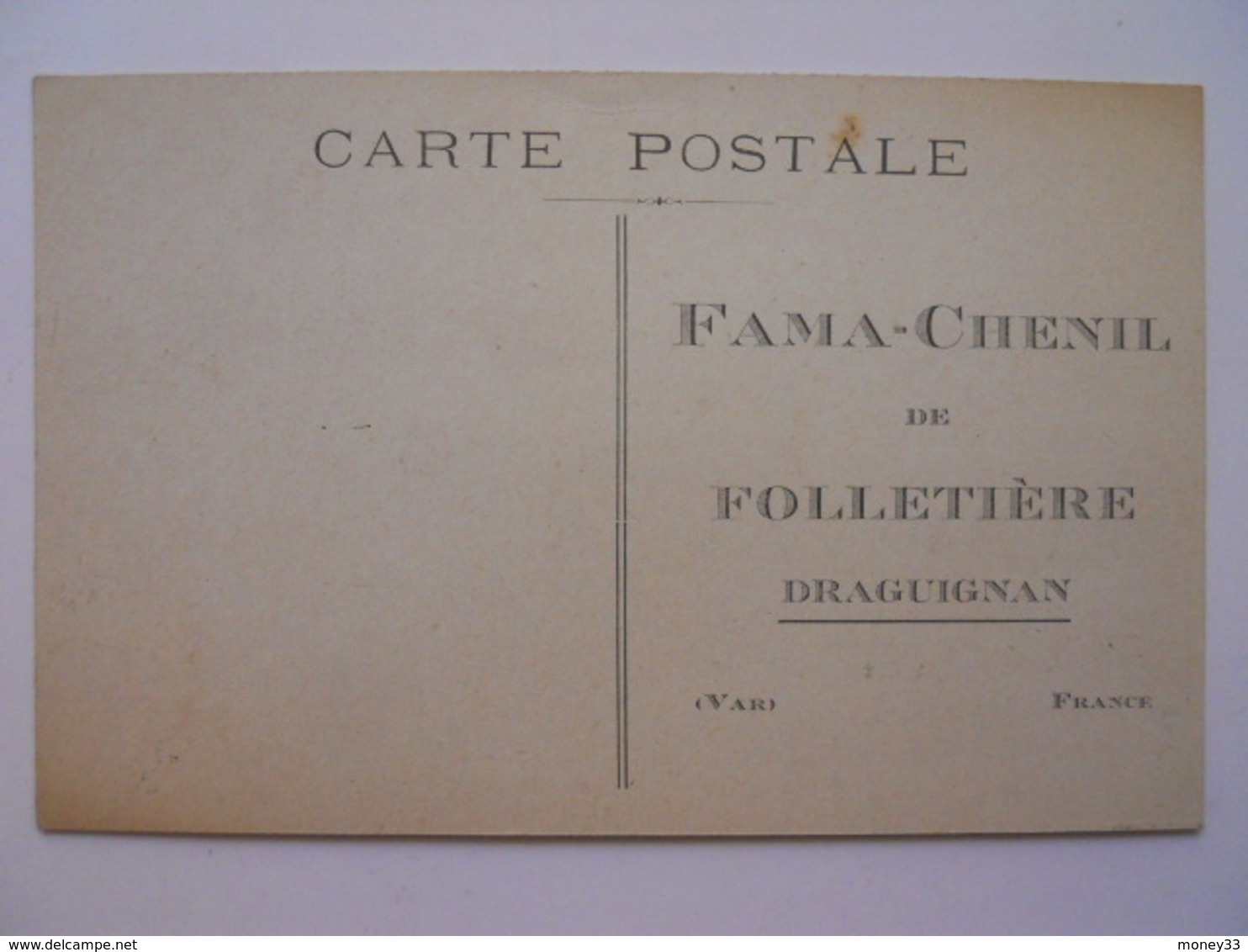 Fama Chenil De Folletière Draguignan - Hunde