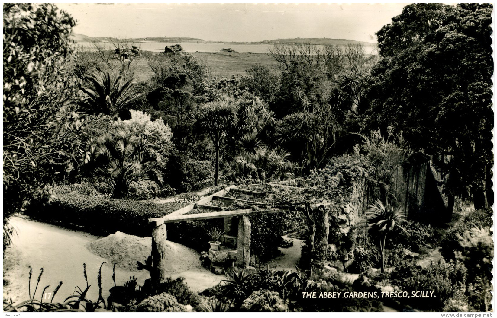 CORNWALL - SCILLIES - TRESCO - THE ABBEY GARDENS RP Co532 - Scilly Isles