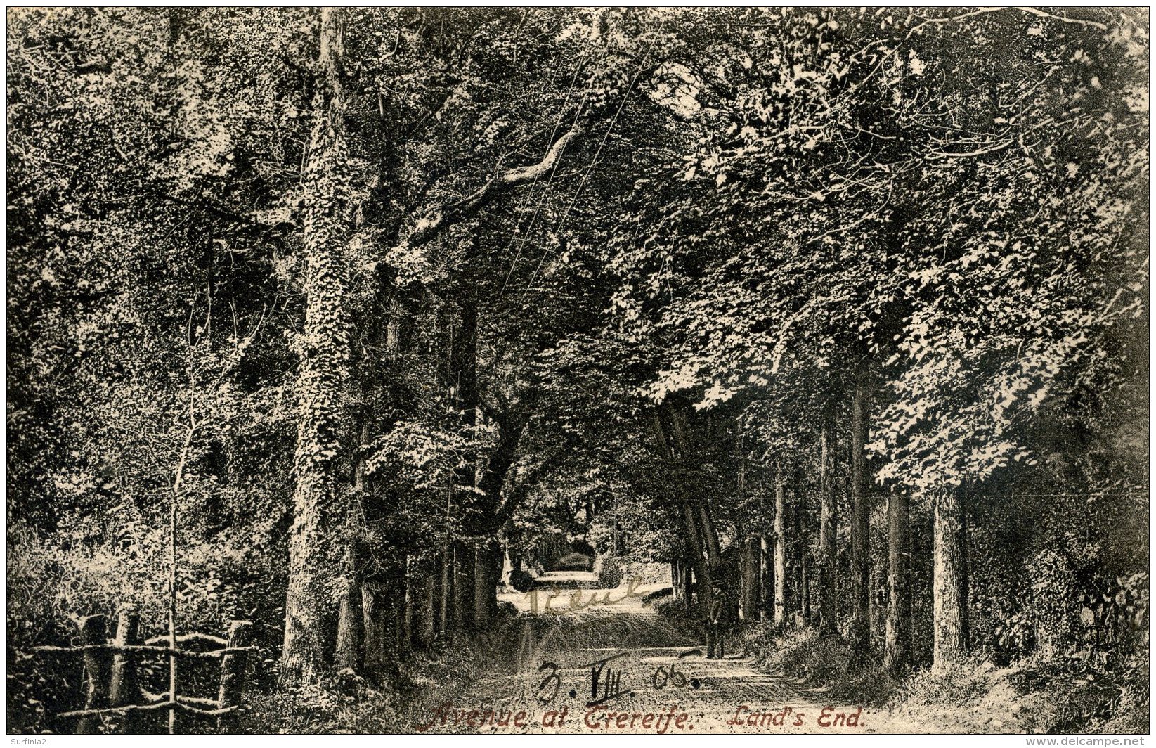 CORNWALL - LAND'S END - AVENUE AT CREREIFE 1905 Co54 - Land's End