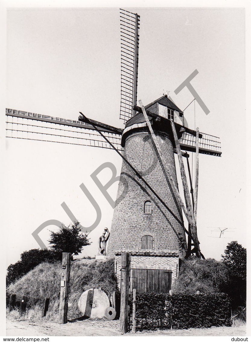 Vinderhoute MOLEN / MOULIN -Originele Foto Jaren '70 ( A.Carre) 11 - Lovendegem