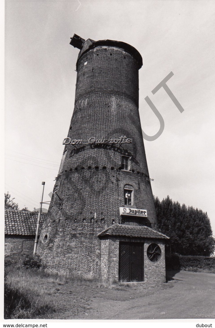 Hamont-Achel MOLEN / MOULIN -Originele Foto Jaren '70 ( A.Carre) 14 - Hamont-Achel