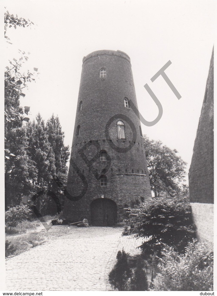 Stabroek MOLEN / MOULIN -Originele Foto Jaren '70 ( A.Carre) 15 - Stabroek