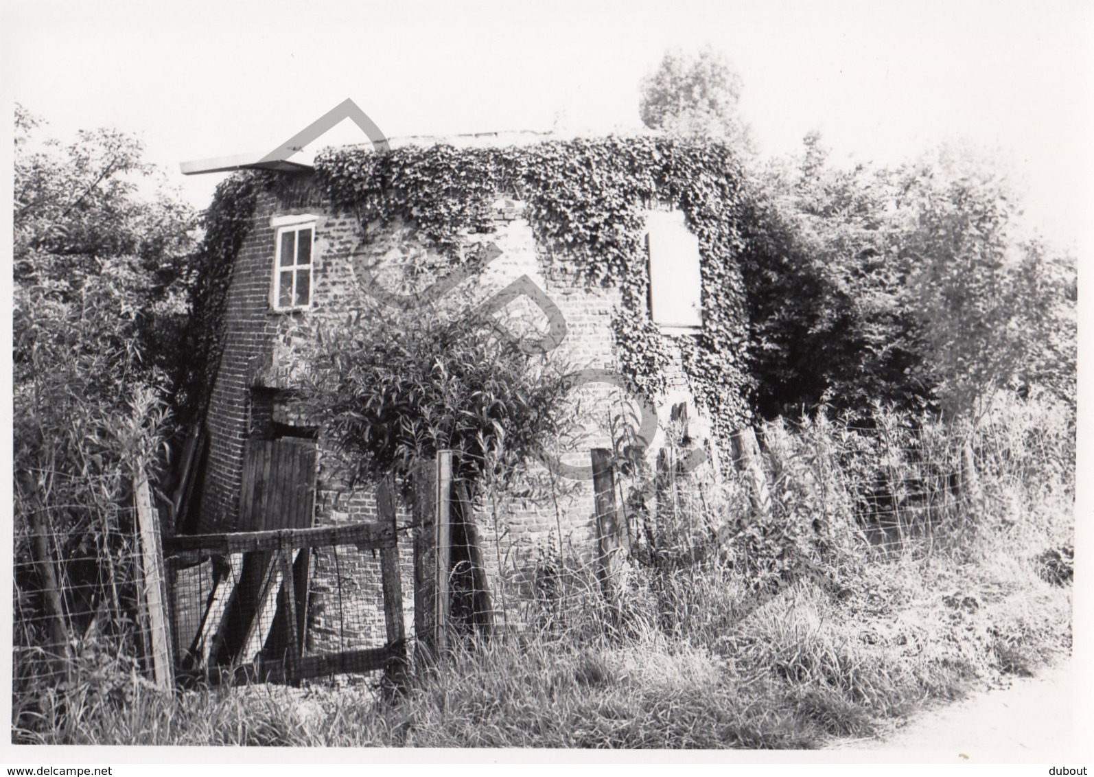 Weert MOLEN / MOULIN -Originele Foto Jaren '70 ( A.Carre) 29 - Bornem