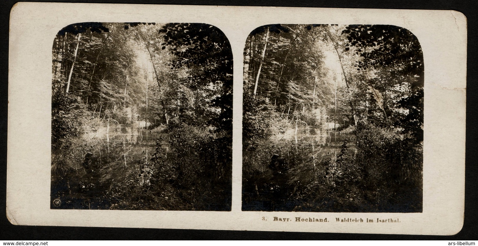 Stereoview Photographs / Stereoview Card / Germany / Bayern / Bavaria / Waldteich Im Isarthal - Stereoscoopen