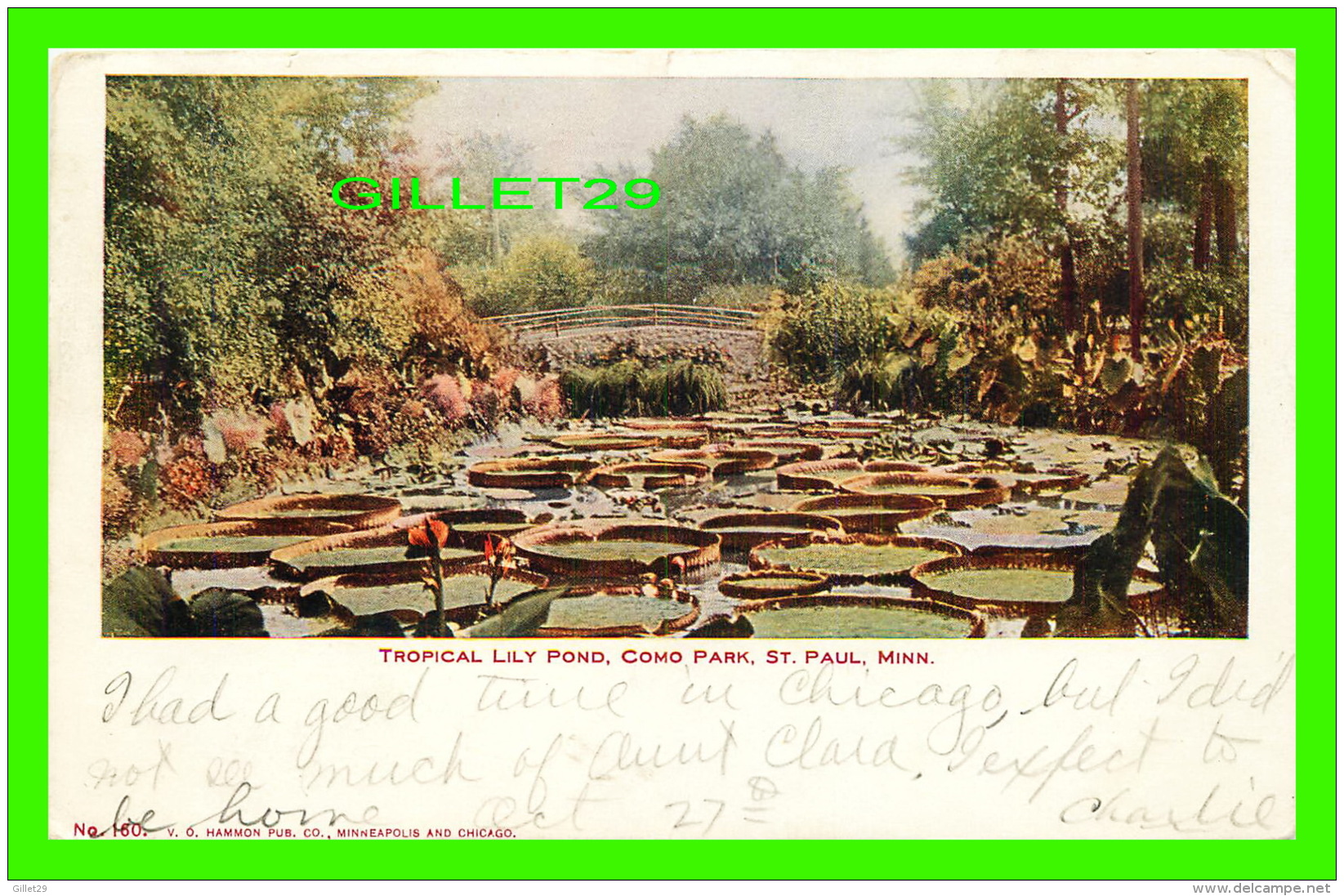 ST PAUL, MN - TROPICAL LILY POND, COMO PARK - HAMMON PUB. CO - TRAVEL IN 1906 - UNDIVIDED BACK - - St Paul