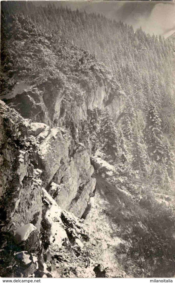 Tiroler Bergsteiger 1914 - 1918 (c) - Sonstige & Ohne Zuordnung