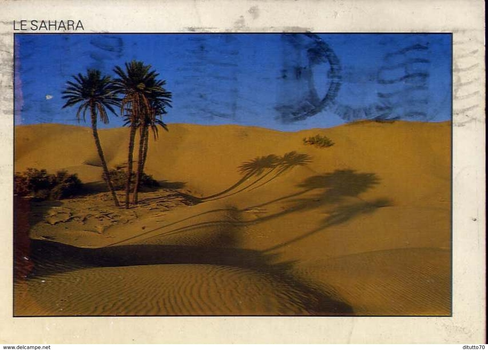 Le Sahara - Hammamet - Formato Grande Viaggiata – E 7 - Non Classificati
