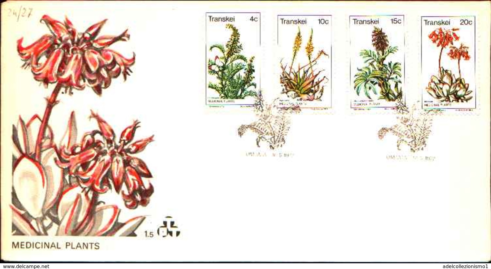 72497)  TRANSKEI 1977 PIANTE MEDICINALI FDC - Transkei