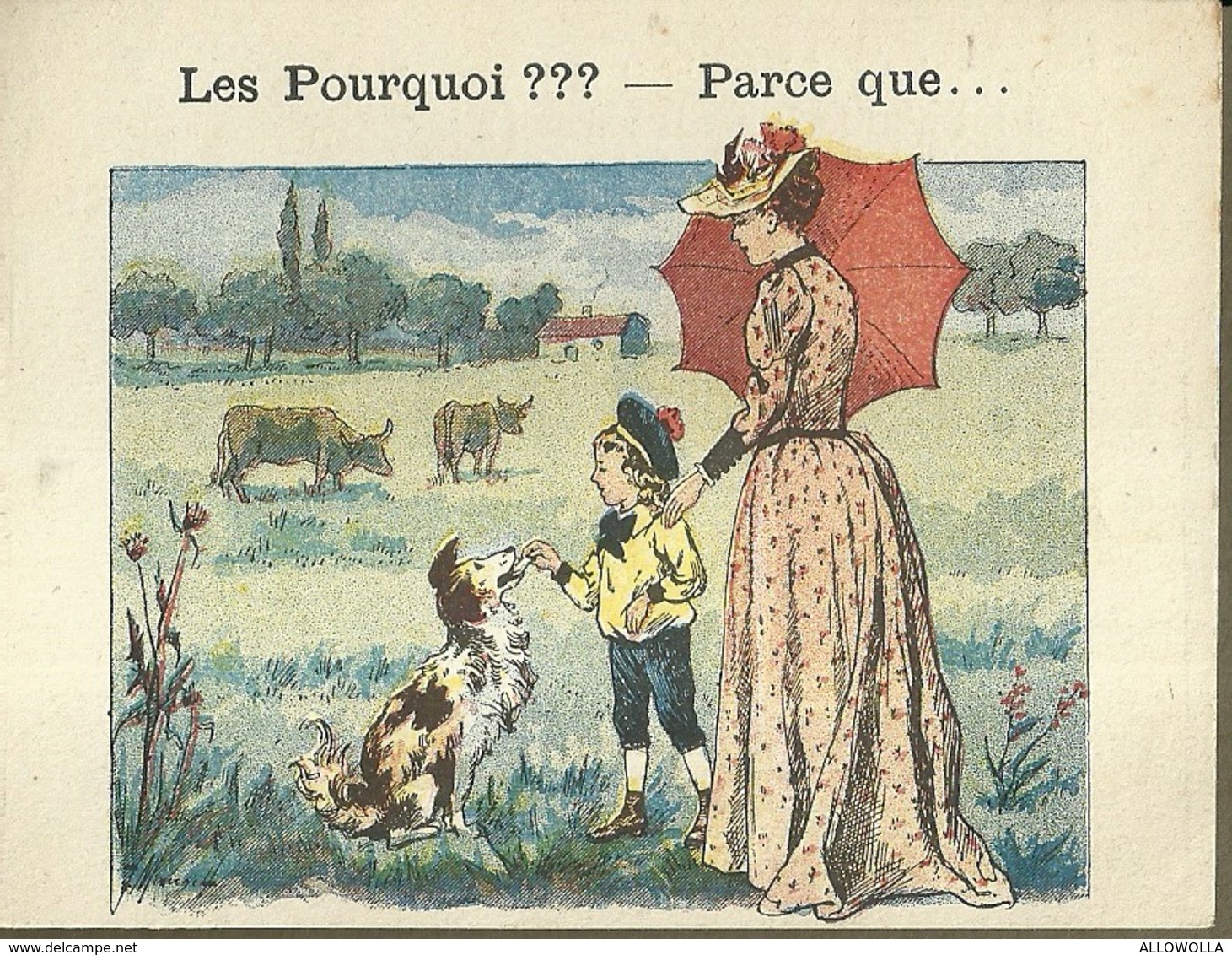 1390 " LES POURQUOI ??? ..... PARCE QUE ..... " FIGURINA DIDATTICA FRANCESE  ORIGINALE - 0-6 Anni