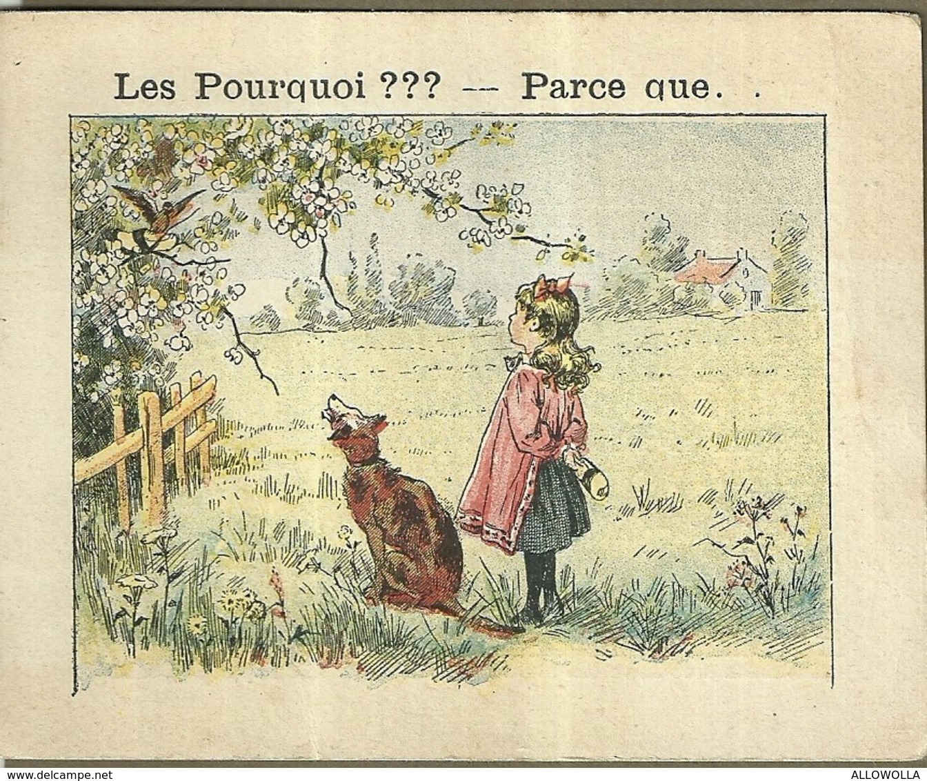 1413 " LES POURQUOI ??? ..... PARCE QUE ..... " FIGURINA DIDATTICA FRANCESE  ORIGINALE - 0-6 Anni