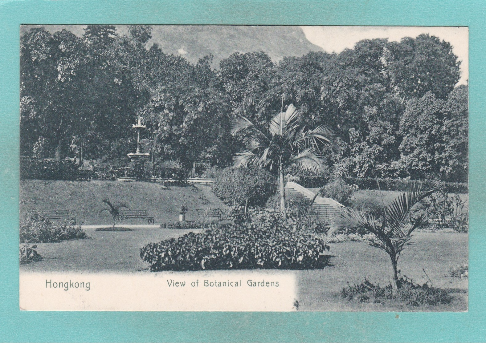 Old Post Card Of Botanical Gardens,Hong Kong,S64. - China (Hong Kong)