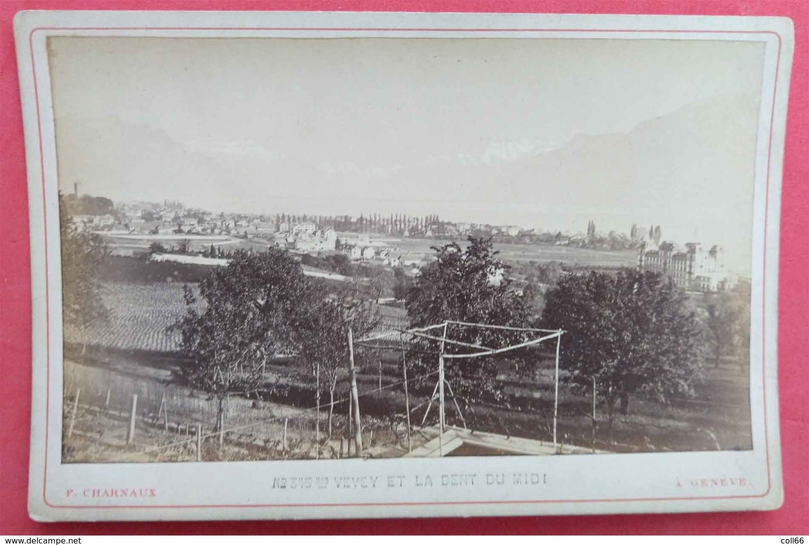 1879-80 Photo Sur Carton Vevey Et La Dent Du Midi éditeur Charnaux N°345 Bis Maison Des 3 Rois Genève Suisse - Anciennes (Av. 1900)