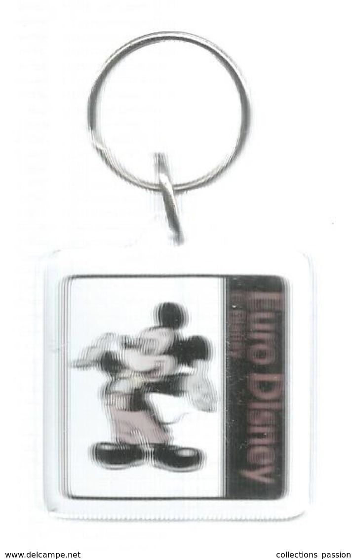 Porte Clefs , Clés , EURO DISNEY , MICKEY , 2 Scans , Frais 1.95 E - Llaveros