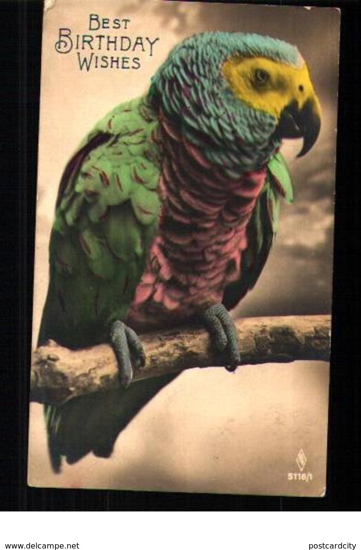 Bird postcards lot 10 pc different types & species