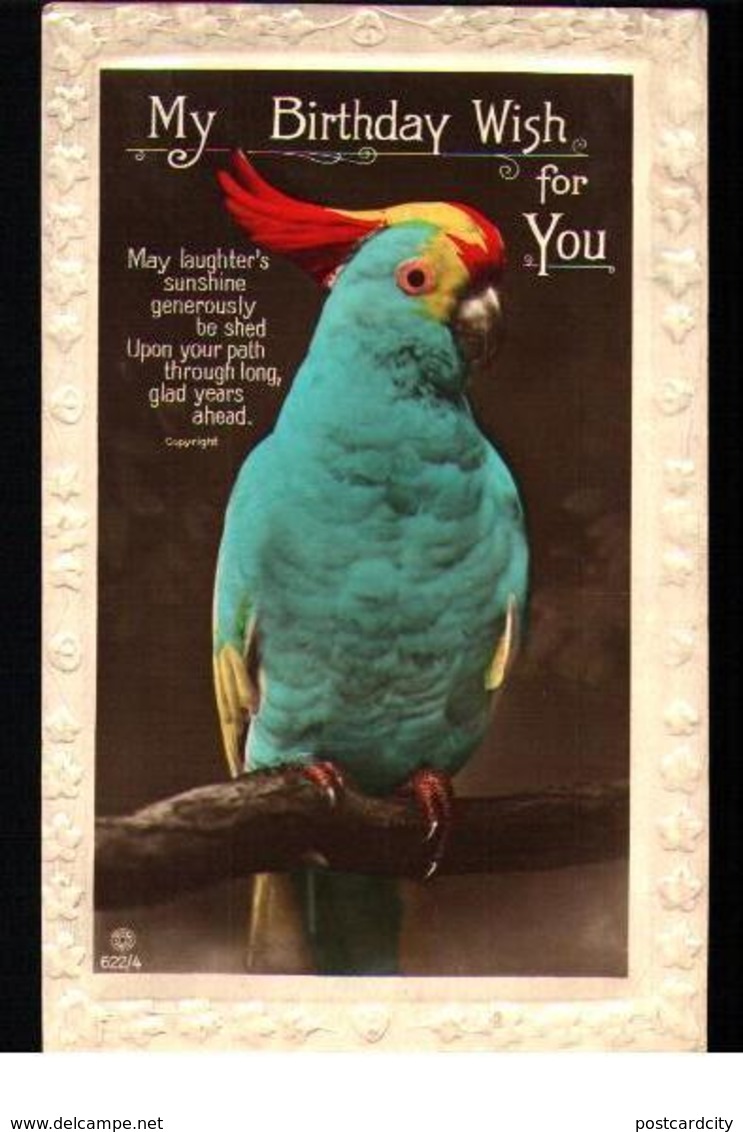 Bird postcards lot 10 pc different types & species