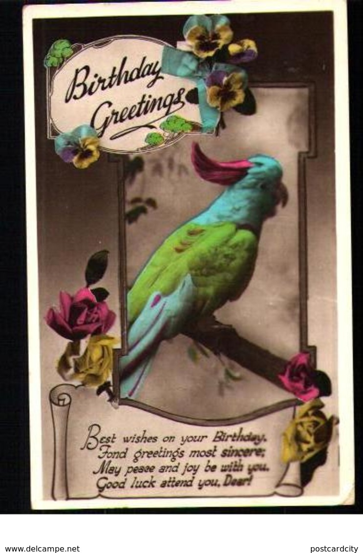 Bird postcards lot 10 pc different types & species