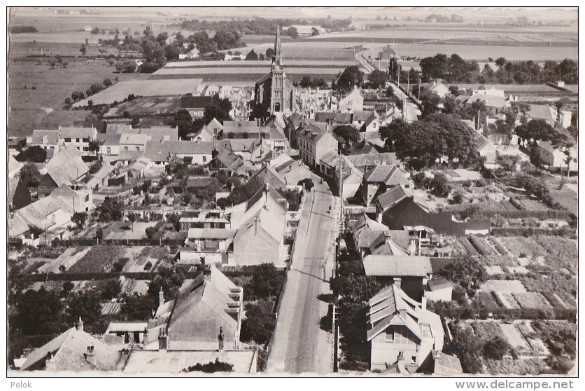 Br - Cpsm Petit Format COULOGNE (Pas De Calais) - Vue Générale - Autres & Non Classés