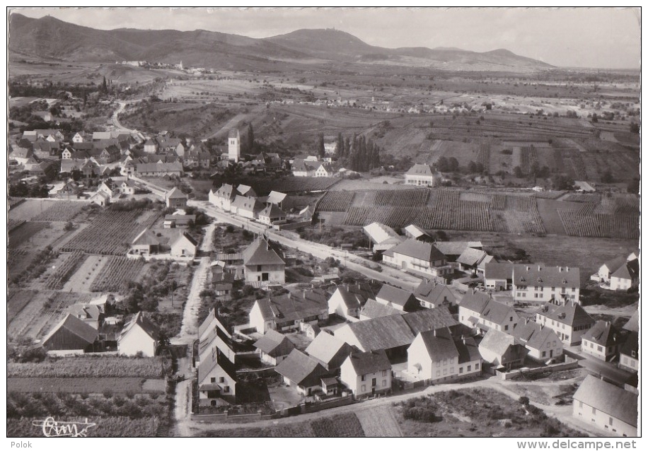 Br - Cpsm Grand Format BENNWIHR (Haut Rhin) - Vue Panoramique Aérienne - La Localité Et Le Vignoble (beau Cachet) - Autres & Non Classés