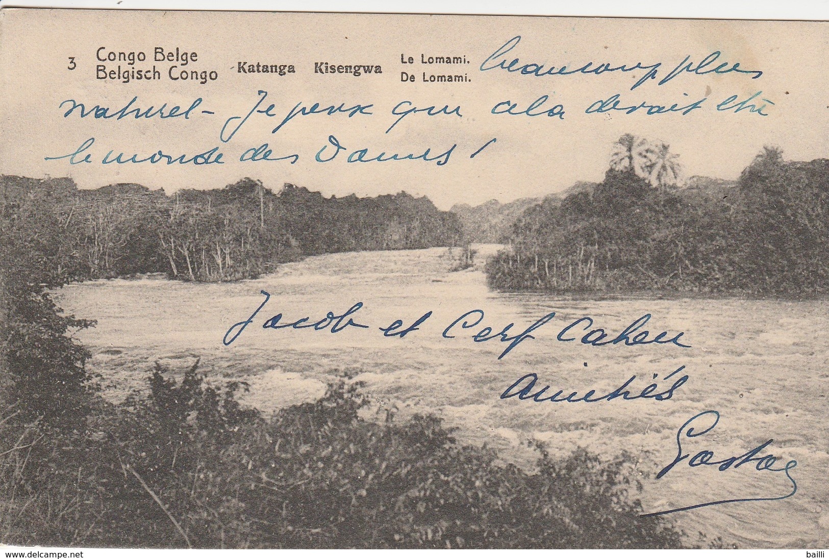 Congo Belge Entier Postal Illustré Pour La Belgique 1916 - Postwaardestukken