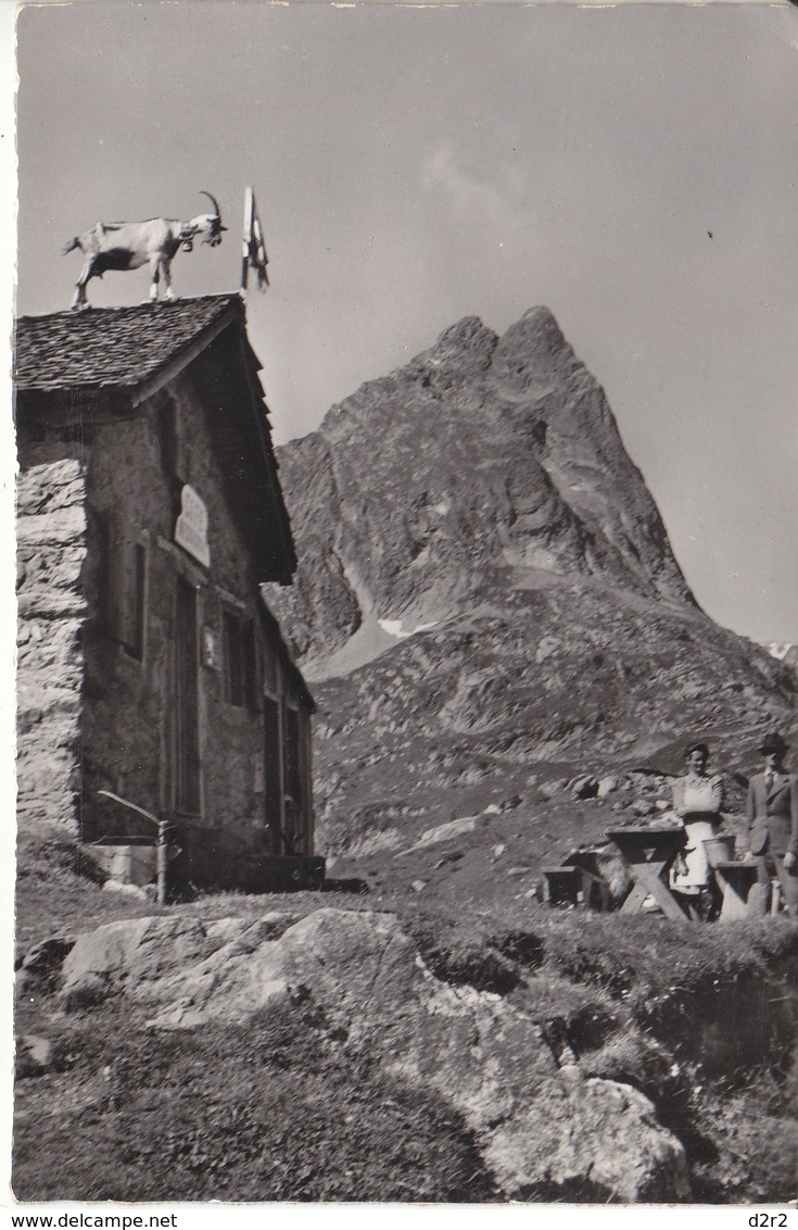 FINHAUT - COL DE LA GUEULA - CHEVRE SUR LE TOIT - 1954 - Finhaut